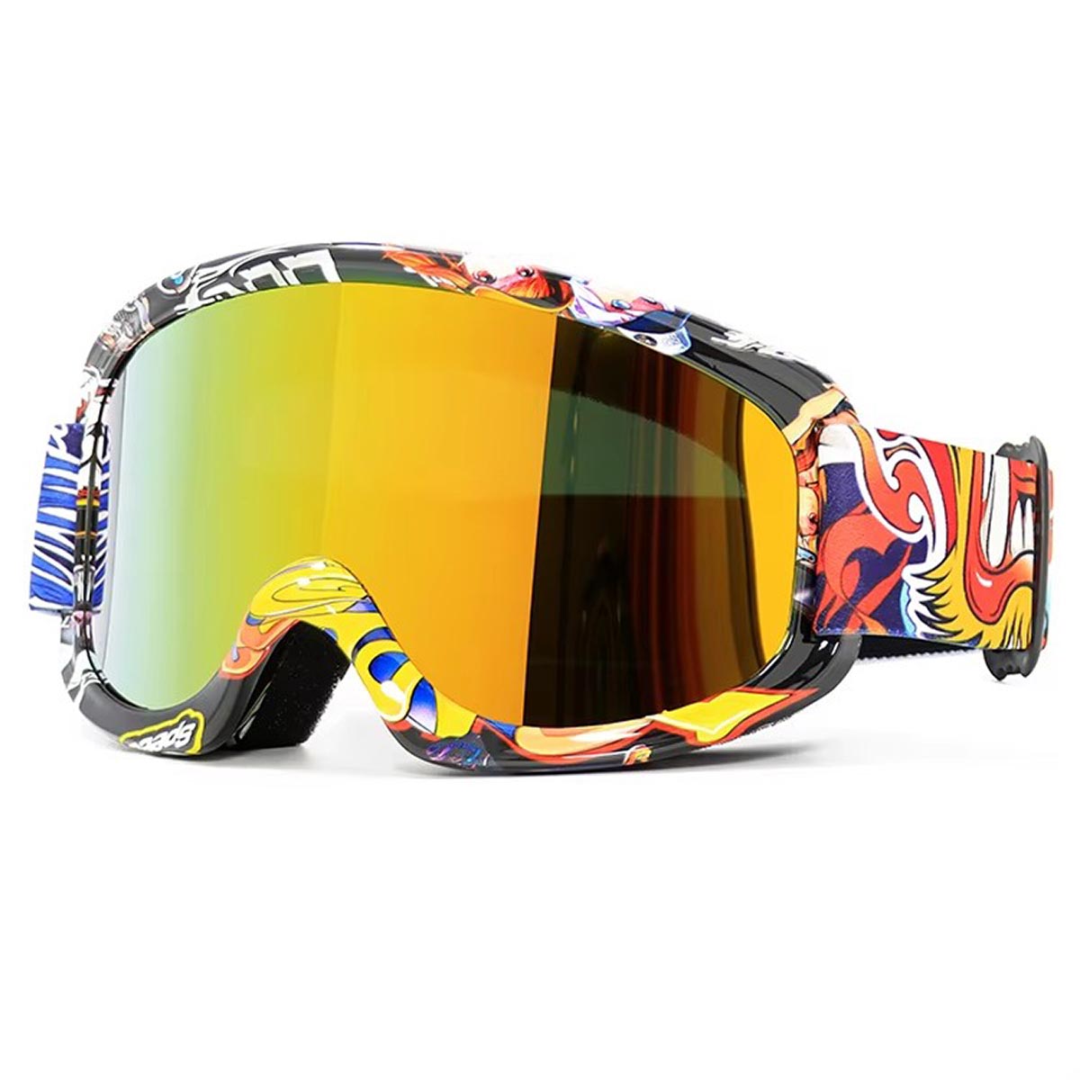 Goggles per motociclette